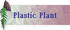 Plastic Plant